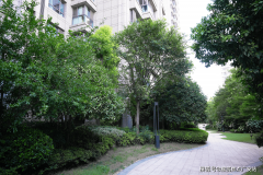 <b>请提前8小时联参谋或拨打热线改期/打消</b>